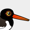 Birdorable American Oystercatcher