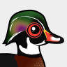 Birdorable Wood Duck