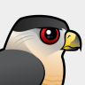 Birdorable Cooper's Hawk