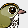 Birdorable Ovenbird