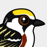 Birdorable Chestnut-sided Warbler
