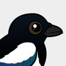 Birdorable Black-billed Magpie