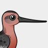 Birdorable Bar-tailed Godwit