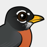 Birdorable American Robin