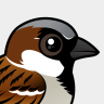 Birdorable House Sparrow