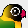 Birdorable Yellow-collared Lovebird