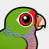 Birdorable Vinaceous Parrot