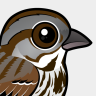Birdorable Song Sparrow