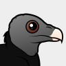 Birdorable American Black Vulture