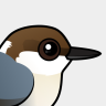Birdorable Brown-headed Nuthatch