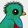 Birdorable Resplendent Quetzal