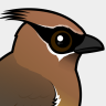 Birdorable Cedar Waxwing