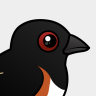 Birdorable Eastern Towhee