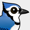 Birdorable Blue Jay
