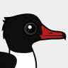 Birdorable Common Merganser
