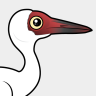 Birdorable Siberian Crane