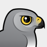 Birdorable Northern Harrier
