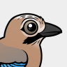 Birdorable Eurasian Jay
