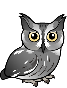 Western Screech-Owl