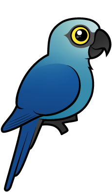 Spix's Macaw