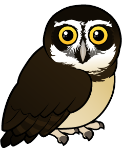 Spectacled Owl