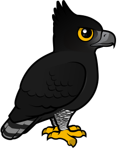 Black Hawk-Eagle