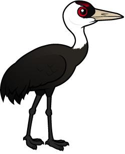 Hooded Crane
