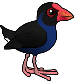 Australasian Swamphen