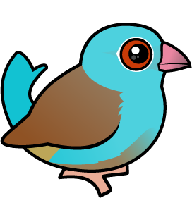 Blue-capped Cordonbleu