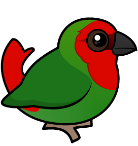 Red-headed Parrotfinch