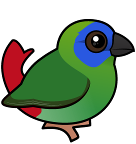 Blue-faced Parrotfinch