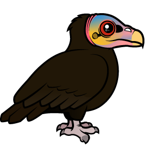 Lesser Yellow-headed Vulture