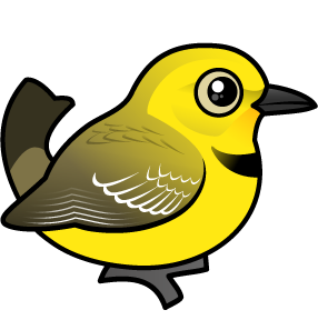 Yellow Chat