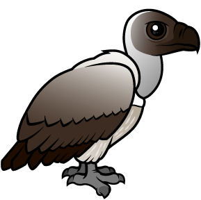 White-backed Vulture
