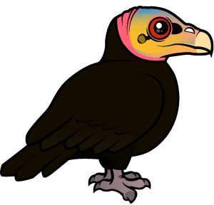 Greater Yellow-headed Vulture