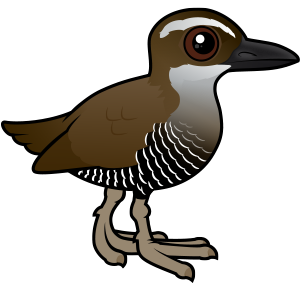 Guam Rail