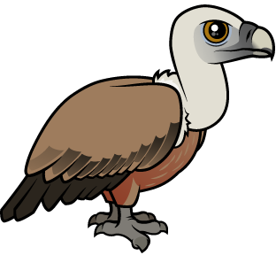 Eurasian Griffon