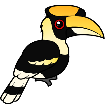 Great Hornbill
