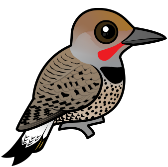 Gilded Flicker