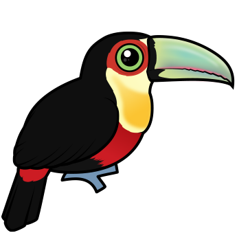 Red-breasted Toucan