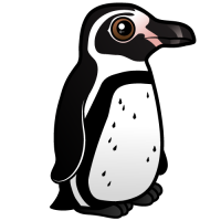 Humboldt Penguin