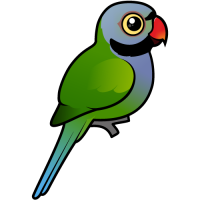 Lord Derby's Parakeet