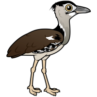 Kori Bustard