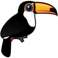 Toco Toucan