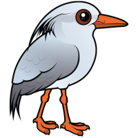 Kagu