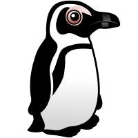 African Penguin