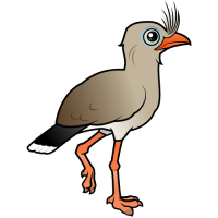 Red-legged Seriema