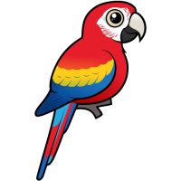 Scarlet Macaw