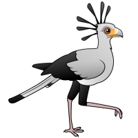 Secretary Bird