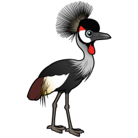 Grey Crowned-Crane